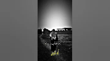 الاب كل ما دخلت البيت ودي اناديه بدي اقول ابوي اليوم وينه 