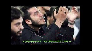 İLAHİ BEAT