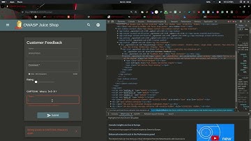 Zero Feedback - Improper Input Validation | OWASP Juice Shop Solution