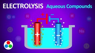 Electrolysis of Salt Water - Aqueous Compounds | GCSE Chemistry
