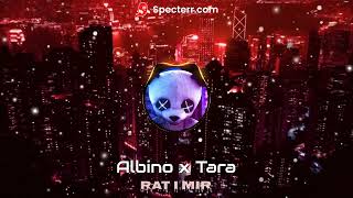 Albino x Tara  -  Rat I Mir [speed up & reverb] Resimi