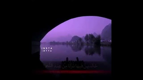 من يعرف اسم القارئ 💙