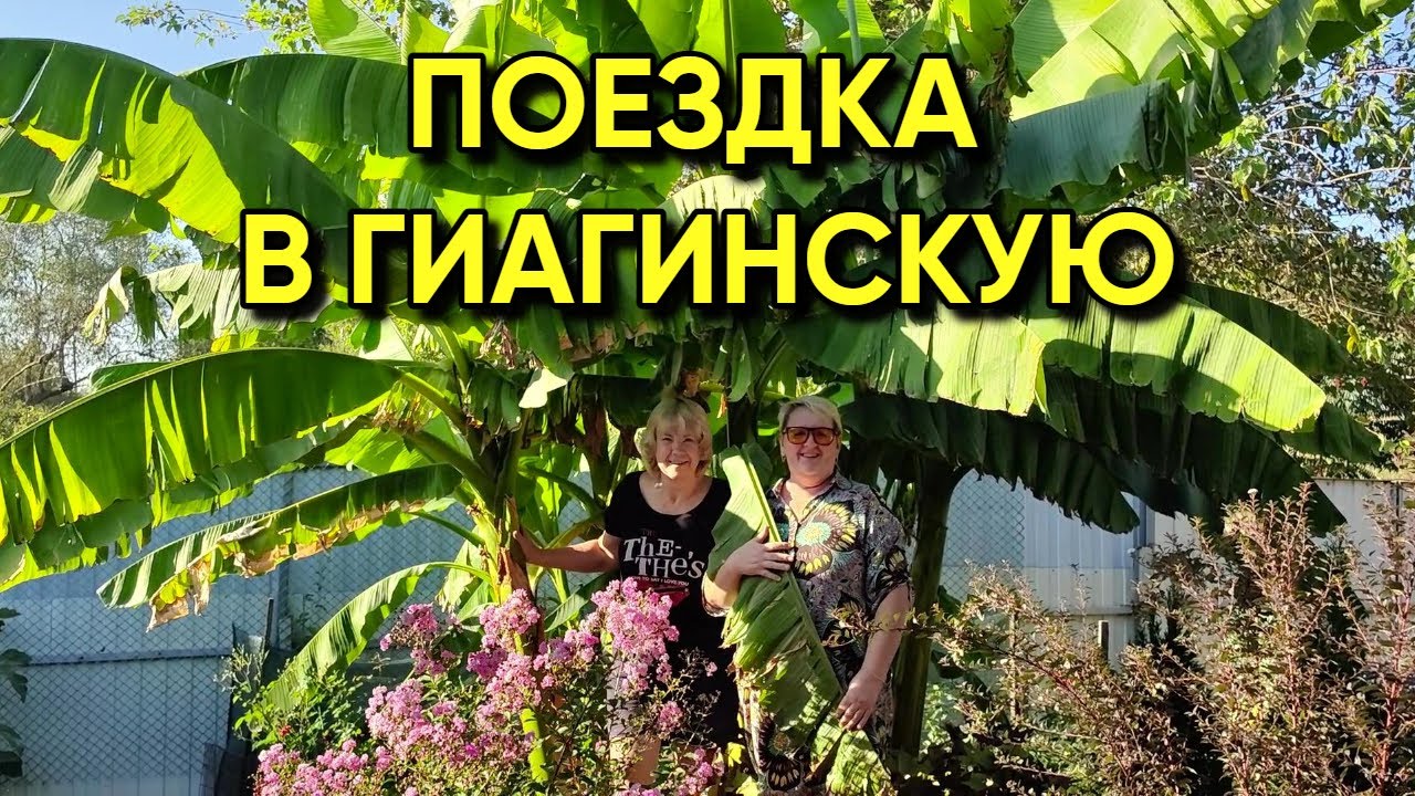 452ч Жизнь на юге России после переезда/Приехали в гости к каналу "Из ...
