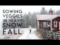 SOWING VEGGIES IN SNOW | SWEDISH WINTER STRIKES BACK | VLOG #26