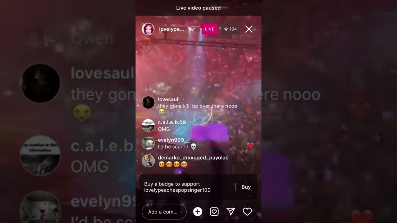 Peaches Blackpink concert live 3