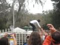 Foreigner at Silver Springs 10/16/2010