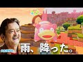 【ぽこ　あ　ポケモン】｜雨が降った日。