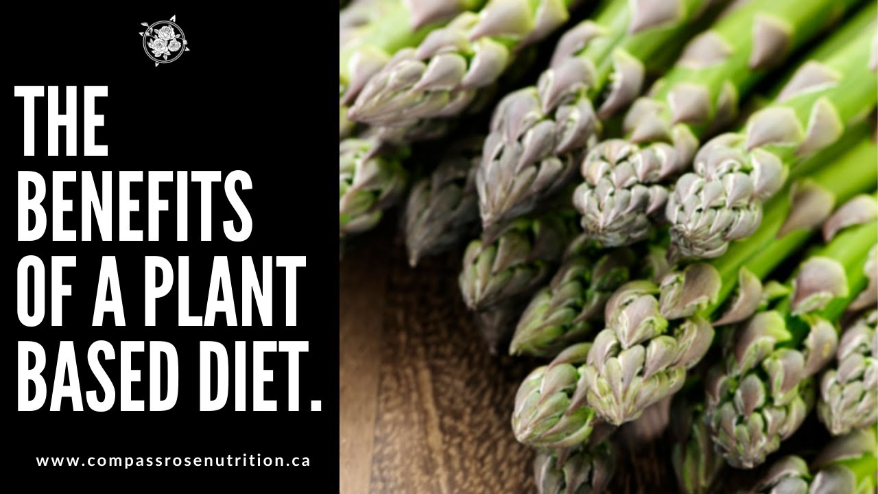 The Benefits of a Plant Based Diet - YouTube