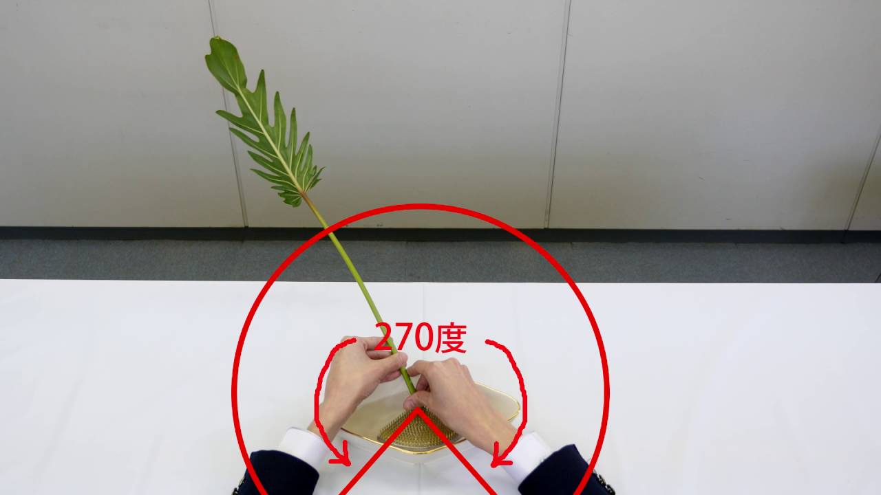 小原宏貴の「始めよう、いけばな」ビデオレッスン第２回