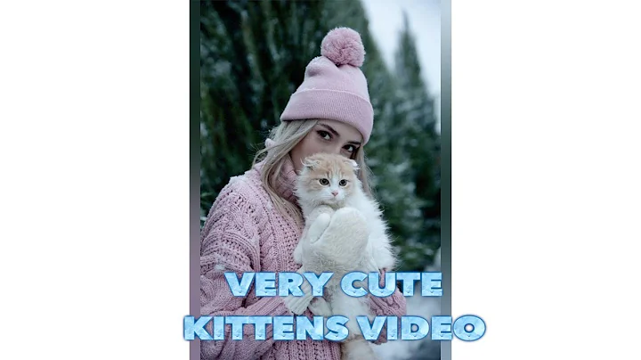 Video 10991081: long cat, funniest cutest cats, laugh funniest cats, best cutest cat, kitten cute funny, compilation