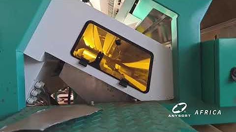 Anysort Cloud Quality CTC Tea Sorting Machine Video