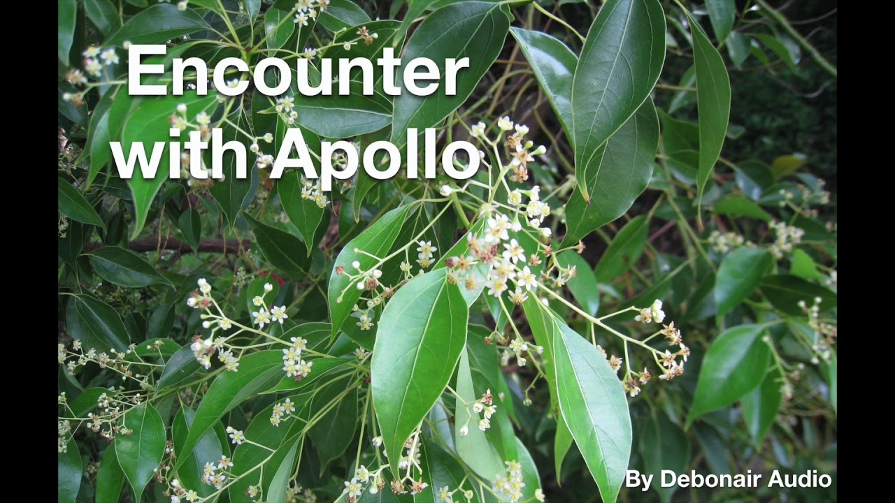 Encounter with Apollo ~ (Ancient Greece) ~ (Strangers to Lovers) ~ (M4M) ~ (ASMR)