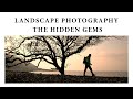 LANDSCAPE PHOTOGRAPHY | HIDDEN GEMS IN SOMERSET, ENGLAND