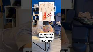 Укрепление мышечного каркаса спины позволяет расслабить нагрузку на колени #больвколене