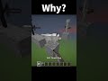 Why? #minecraft #trending #gaming