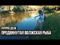 Продвинутая волжская рыба \ В курсе дела \ 11 выпуск