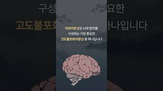 흑염소의 아라키돈산에 대한 이야기 #흑염소진액 #흑염소 #아라키돈산 #청궁