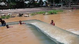 My Friend Arogy Dham