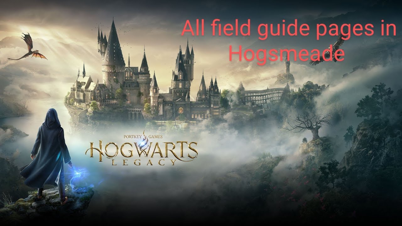 Hogwarts legacy All Field Guide Pages In Hogsmeade YouTube