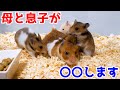 お母さんが息子たちと再会したら、とんでもないことになりましたｗｗｗｗｗ