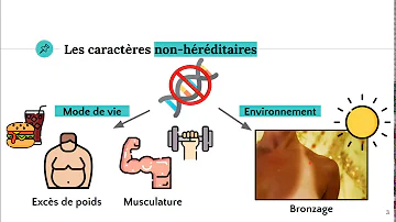 C'est quoi un caractère non héréditaire ?