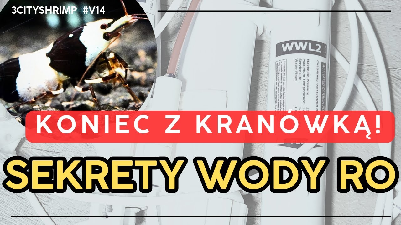 Najtańsza i najprostsza 