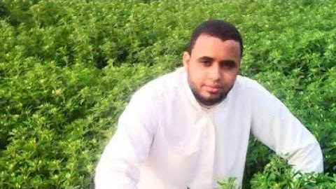 أداء رائع لطلاب الكتاب سورة الحديد