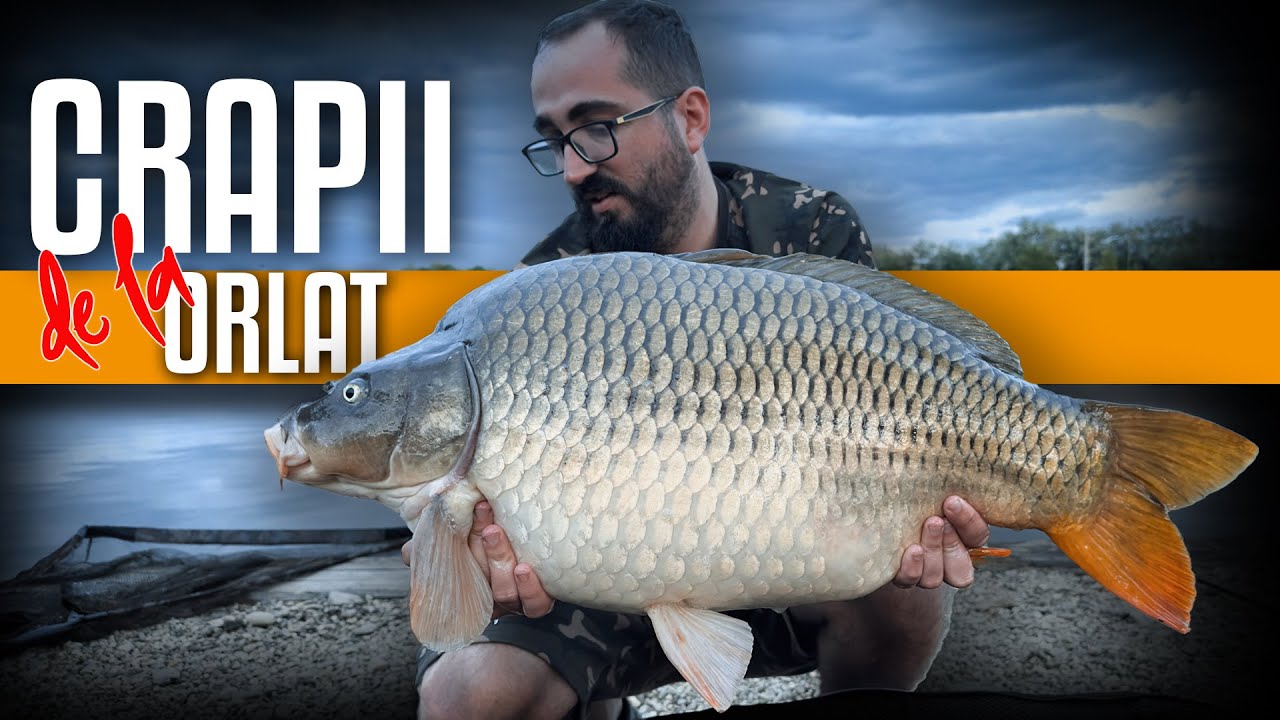 Unde, cum si cu ce sa pescuiesti la crap pe balastiere | Lacul Orlat