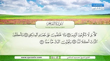 سورة الفجر | بصوت القارئ الشيخ محمود المالكي