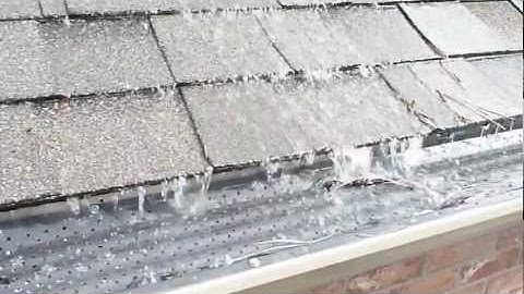 Gutter RX Leaf cover