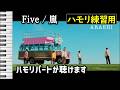 Five / 嵐(ハモリ練習用) 歌詞付き音程バー有り