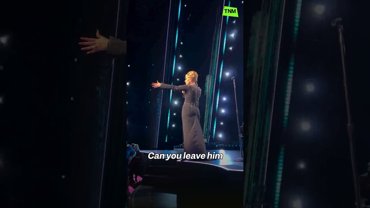 Adele Stops Concert To Stand Up For Fan Against Security Guard News