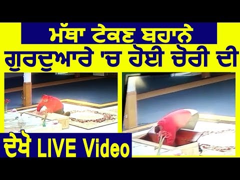 माथा टेकने के बहाने गुरद्वारे में हुई चोरी की देखें LIVE Video