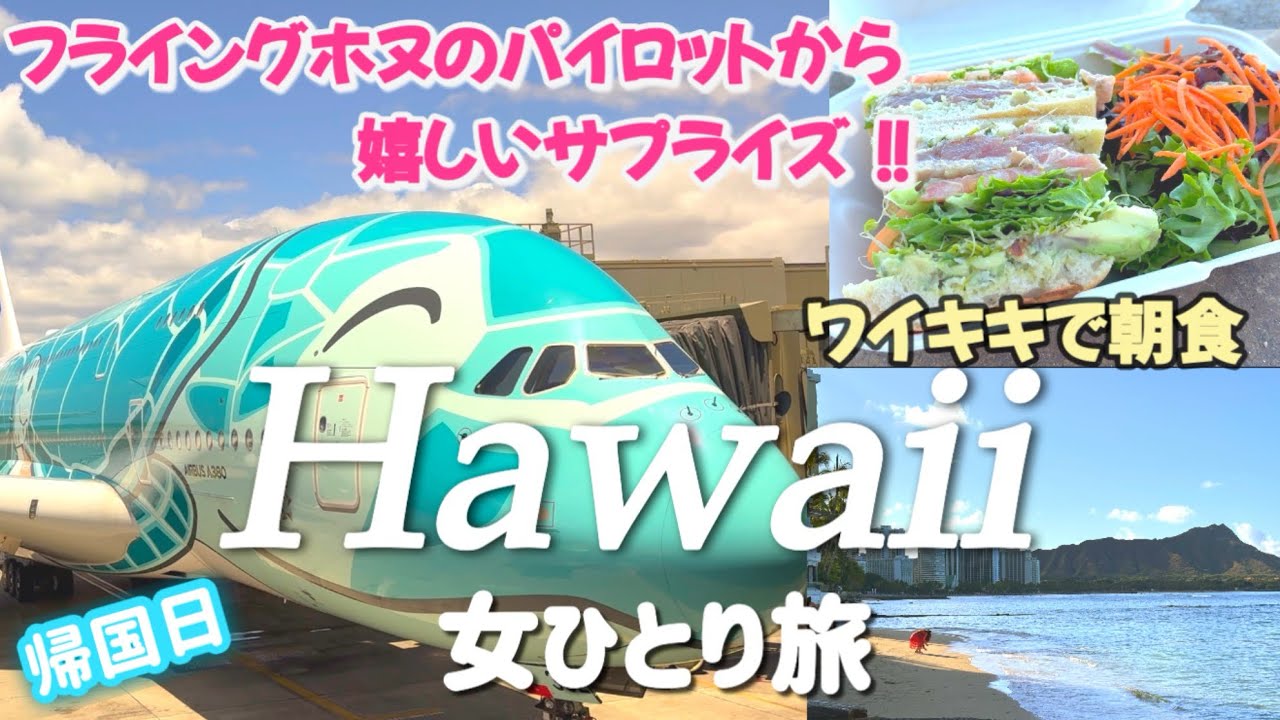 【最新ハワイ6泊8日】ビーチで朝食/フライングホヌ/パイロットからサプライズ/空港でチャレンジ/衝撃の特別機内食