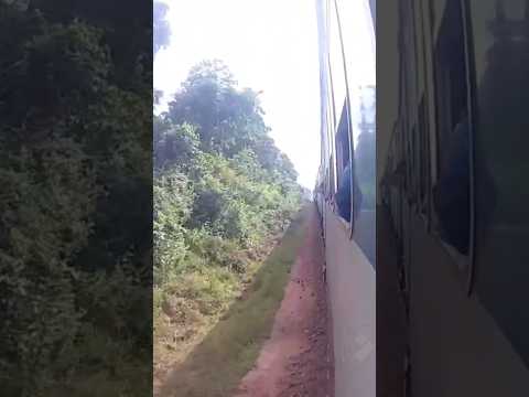 Journey in Galoya - Maho Line Sri Lanka 🇱🇰 | #srilankarailway #trainspotting #srilankatrain #train