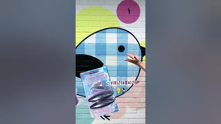 STONE MAGNETS WITH SOUND