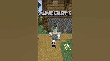 Minecraft Chainmail Armor Mechanics #minecraft #shorts