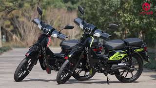 Motard V8 2024 - Motard Motocycles Maroc