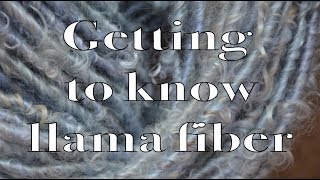 Getting to Know Llama Fiber