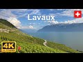 Lavaux - Epesses - Swiss Riviera - Walking tour - 4K - September 2021#switzerland #vineyard #lavaux