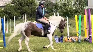 Penny Flatwork