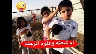 ام شعفه وسلتلت يعلمون ولد اللبنانية ع الغنم وعلوم المرجله | راح فيها المسكين 