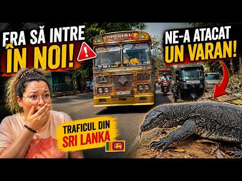 Accident la limită, varani uriași și temple de aur ! Cea mai nebună zi din Sri Lanka . Ep7