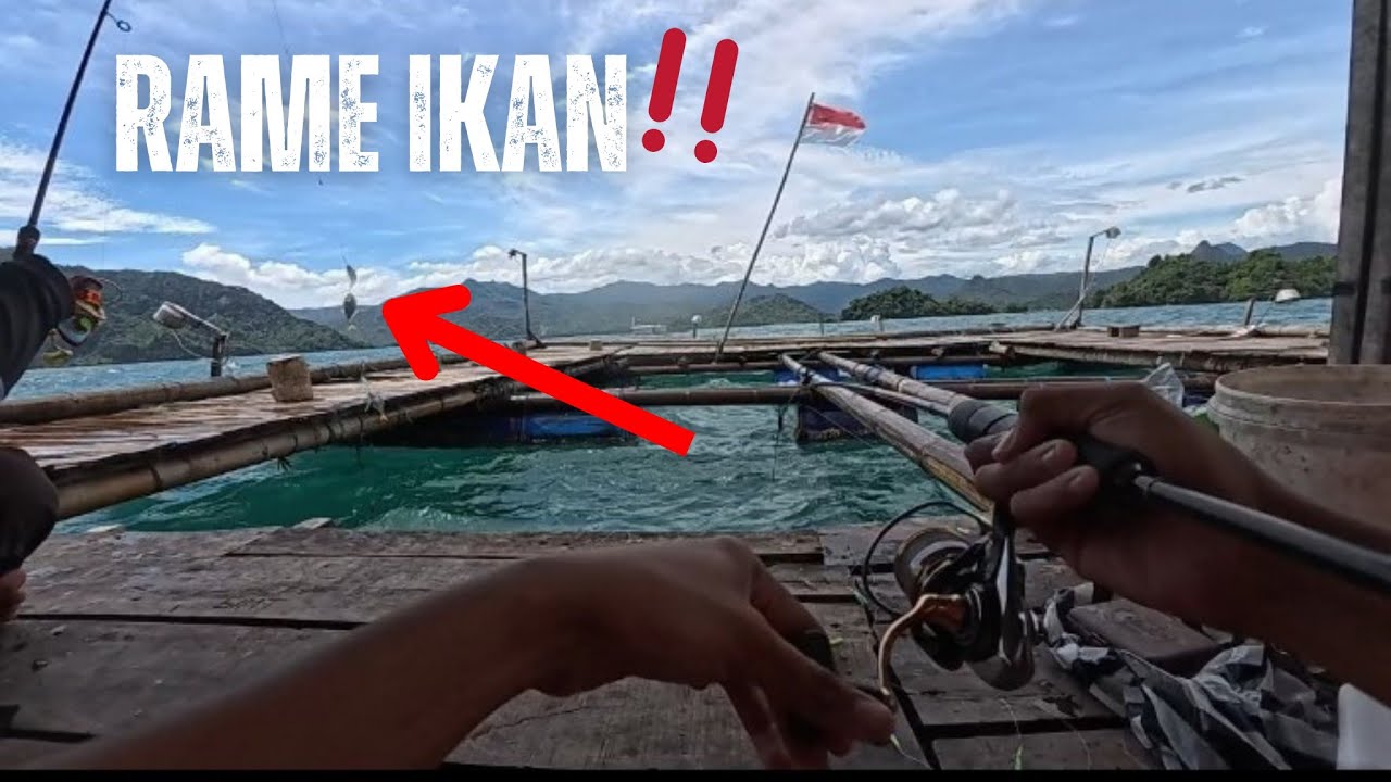 CEPETAN SERBU‼️SEGALA JENIS UMPAN LANGSUNG DIMAKAN GEROMBOLAN IKAN ENAK‼️
