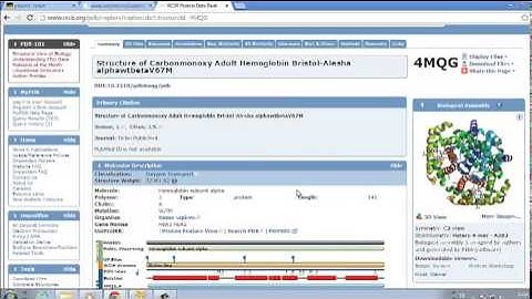 Week10 3D Structure Prediction  PDB and foldit