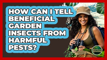 How Can I Tell Beneficial Garden Insects From Harmful Pests? - Reptilian Wonders