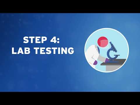 From Collection To Testing: The Journey Of A Test Sample At Lifelabs