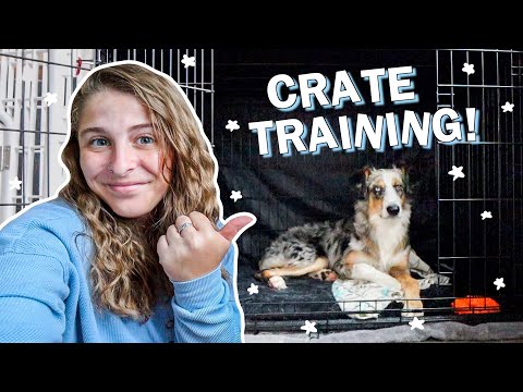 Video: Top 10 Tips over Crate Training A Dog
