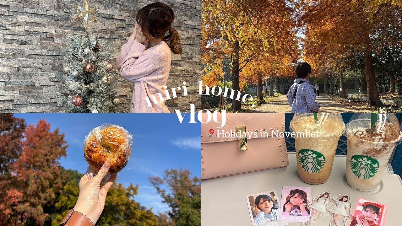 【同性カップル】秋の休日vlog🍂/イコラブLIVE参戦❤️💜/クリスマスの準備🎄/紅葉を見ながらピクニック🧺🍁