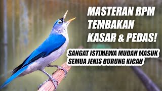 RAMBATAN PARUH MERAH GACOR!! MASTERAN RPM NEMBAK KASAR RAPAT PANJANG JERNIH COCOK BUAT SEMUA BURUNG
